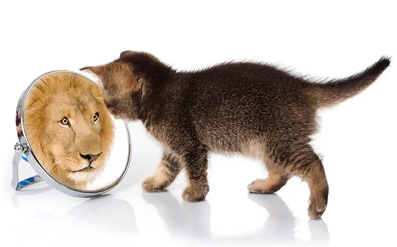 autoestima-bem-estar